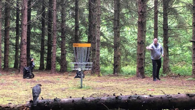 Disc Golf im Wald