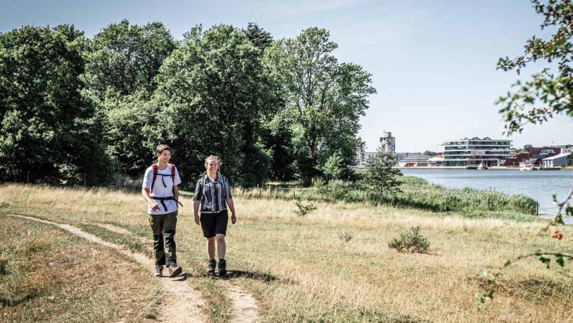 Vandrere på Camino Haderslev Næs